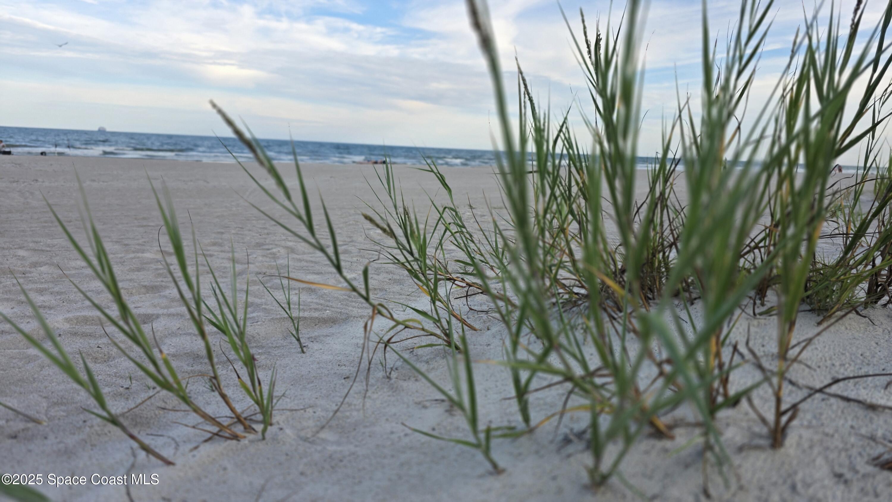 6411 Ridgewood Avenue Cocoa Beach, FL 32931 - Photo 14 of 15 a view of outdoor space and yard