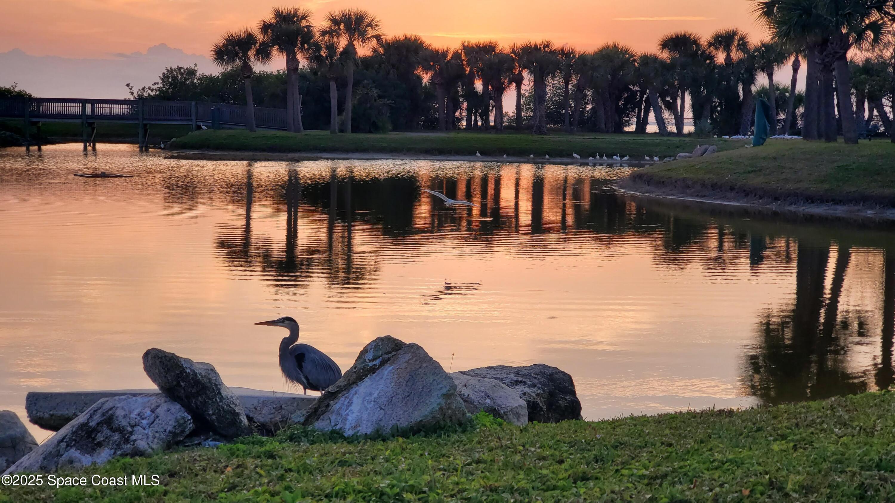 6411 Ridgewood Avenue Cocoa Beach, FL 32931 - Photo 15 of 15 a view of lake