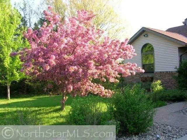 14780 Fireside Road Cold Spring, MN 56320 - Photo 14 of 18