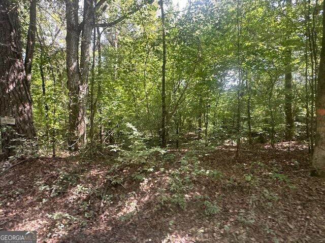 0 Millen Road, Unit TRACT #22 Monticello, GA 31064 - Photo 1 of 10 Gallery Image 1
