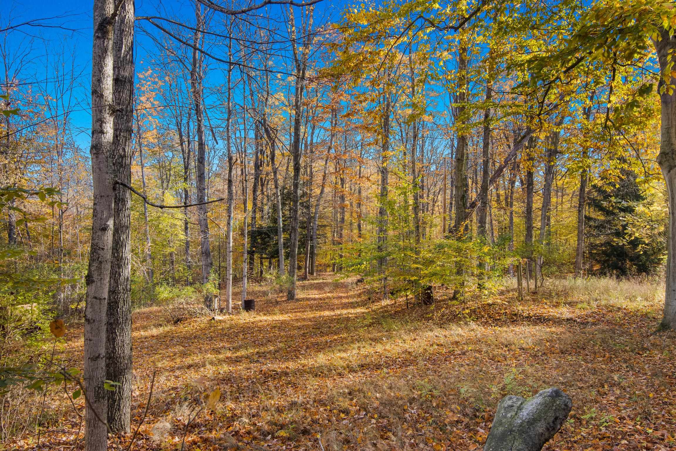 1452 Case Road Benzonia, MI 49616 - Photo 12 of 16