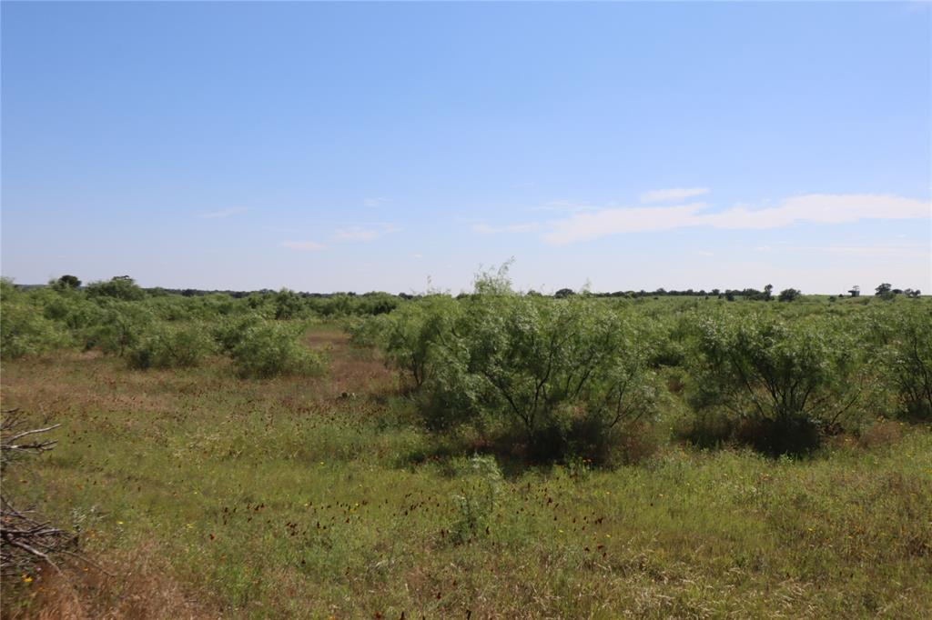 807 County Road 215 Rising Star, TX 76471 - Photo 8 of 9 a view of a city with lush green forest
