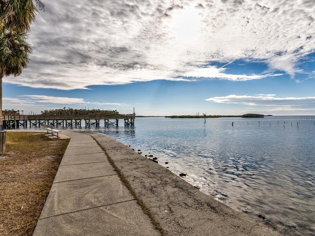 11981 Robina Road Weeki Wachee, FL 34614 - Photo 85 of 93