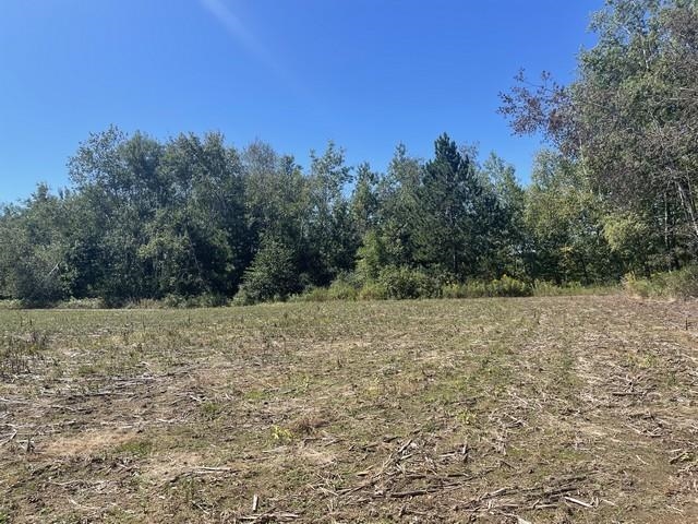 Lot 4 Skyview Road Mosinee, WI 54455 - Photo 3 of 17