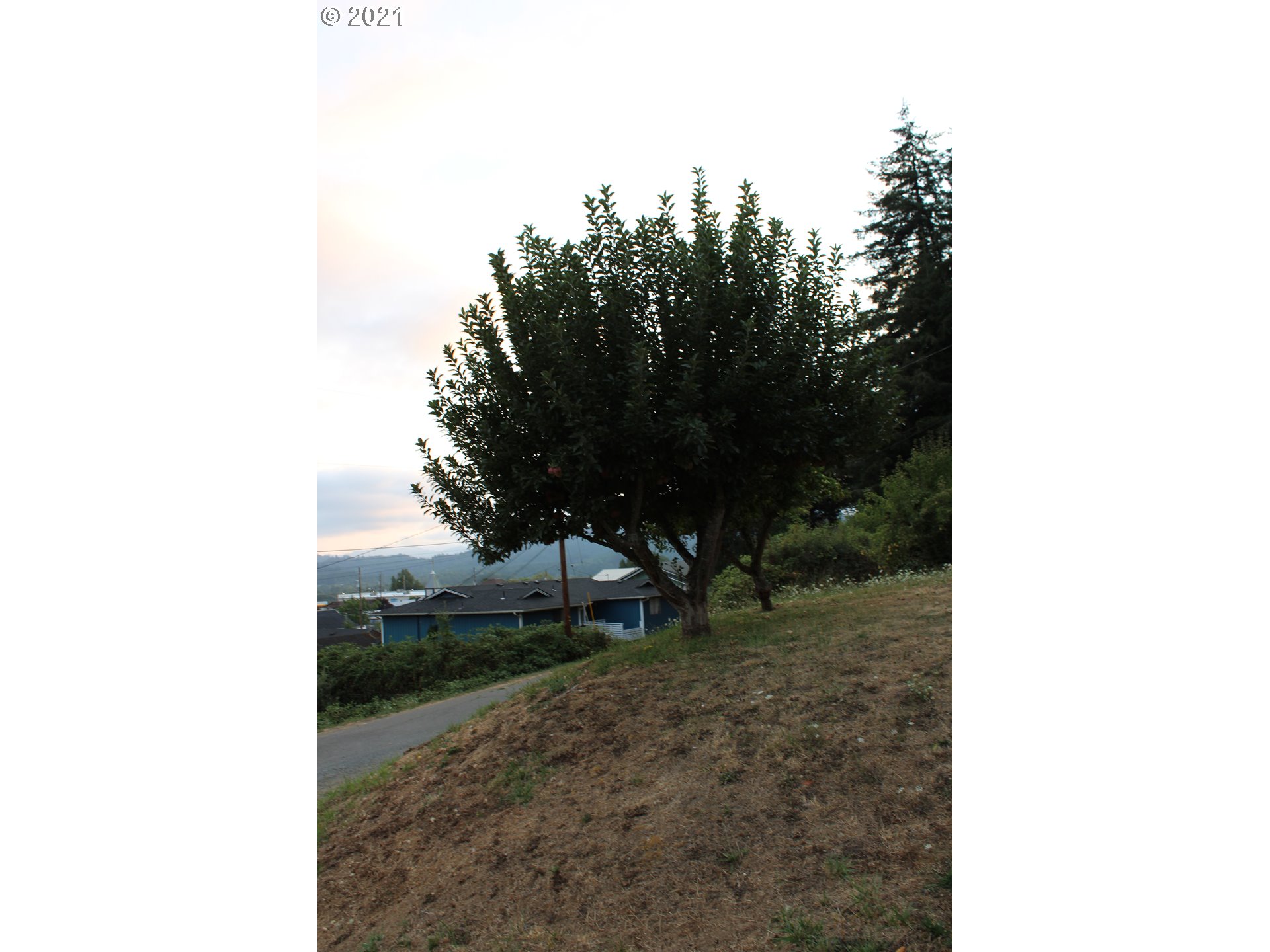 1275 Harris Street Myrtle Point, OR 97458 - Photo 18 of 20 Gallery Image 18