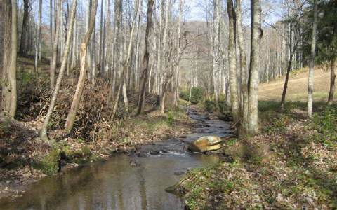 Vineyard Road Hayesville, NC 28904 - Photo 1 of 1 Main View