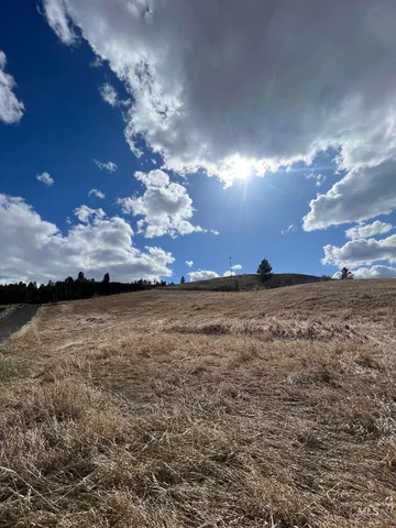 $99,000 | Nka Raven Drive, Culdesac, ID 83524