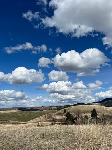 $99,000 | Nka Raven Drive, Culdesac, ID 83524