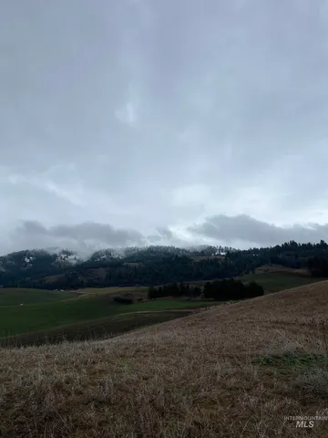 $99,000 | Nka Raven Drive, Culdesac, ID 83524