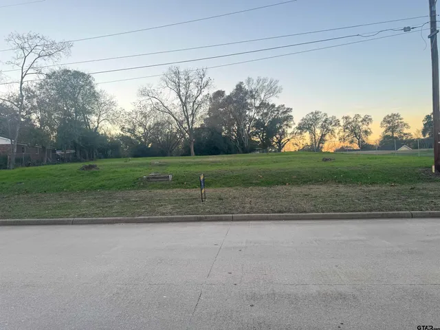 a view of a field with trees in the background