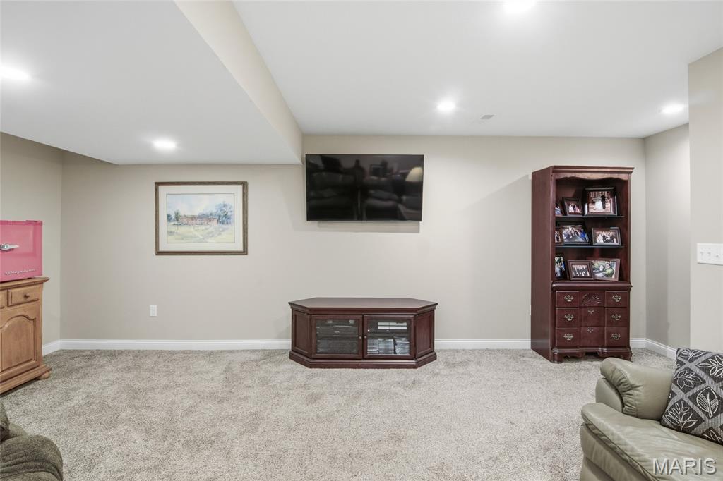 2520 Welsch Drive Shiloh, IL 62221 - Photo 20 of 50