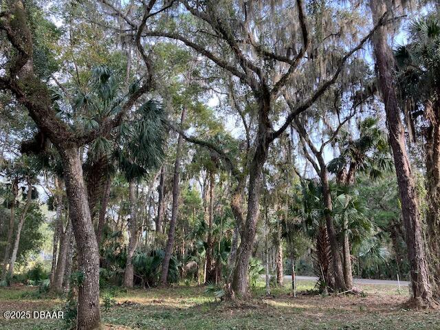 1644 Shell Harbor Road Pierson, FL 32180 - Photo 2 of 5 a view of a trees with a yard