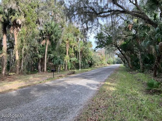 a view of dirt yard with large trees