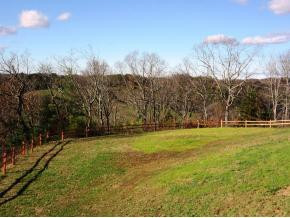 713 Cripple Creek Road Watauga, TN 37694 - Photo 7 of 24 Photo 7
