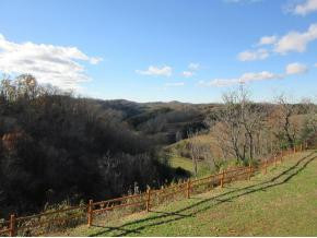 713 Cripple Creek Road Watauga, TN 37694 - Photo 8 of 24 Photo 8
