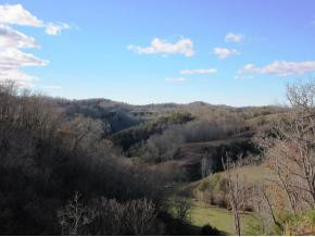 713 Cripple Creek Road Watauga, TN 37694 - Photo 9 of 24 Photo 9
