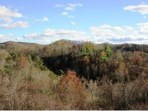 713 Cripple Creek Road Watauga, TN 37694 - Photo 10 of 24 Photo 10