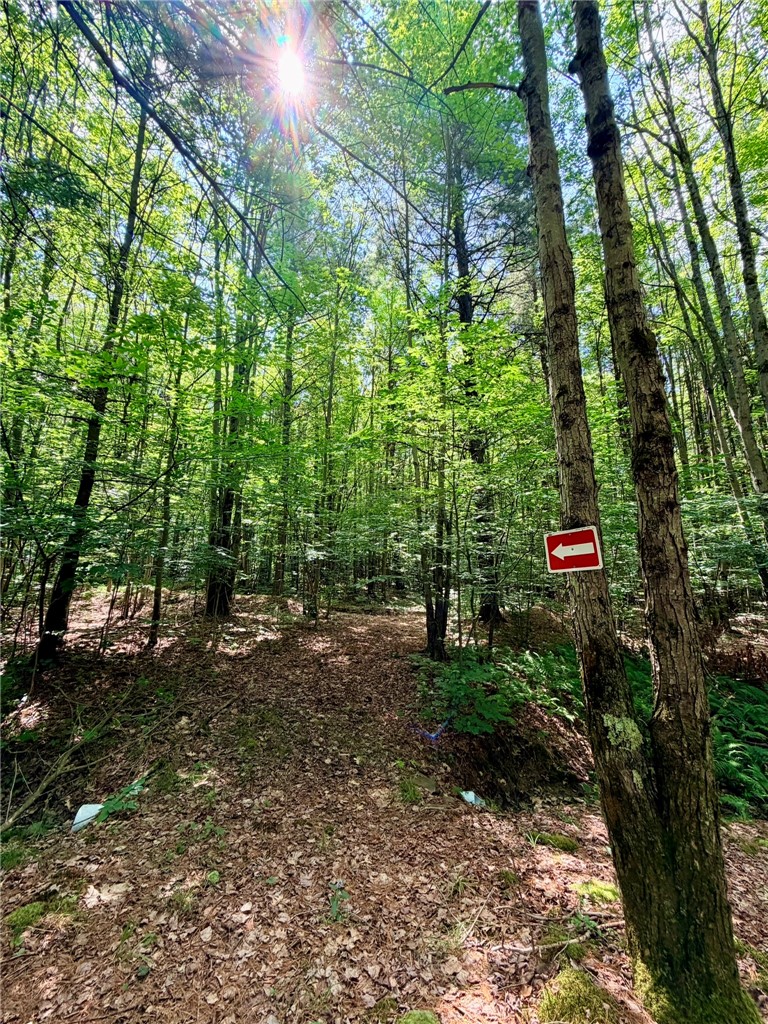 1667 Coon Hollow Road Orange, NY 14812 - Photo 37 of 41 Marked trails