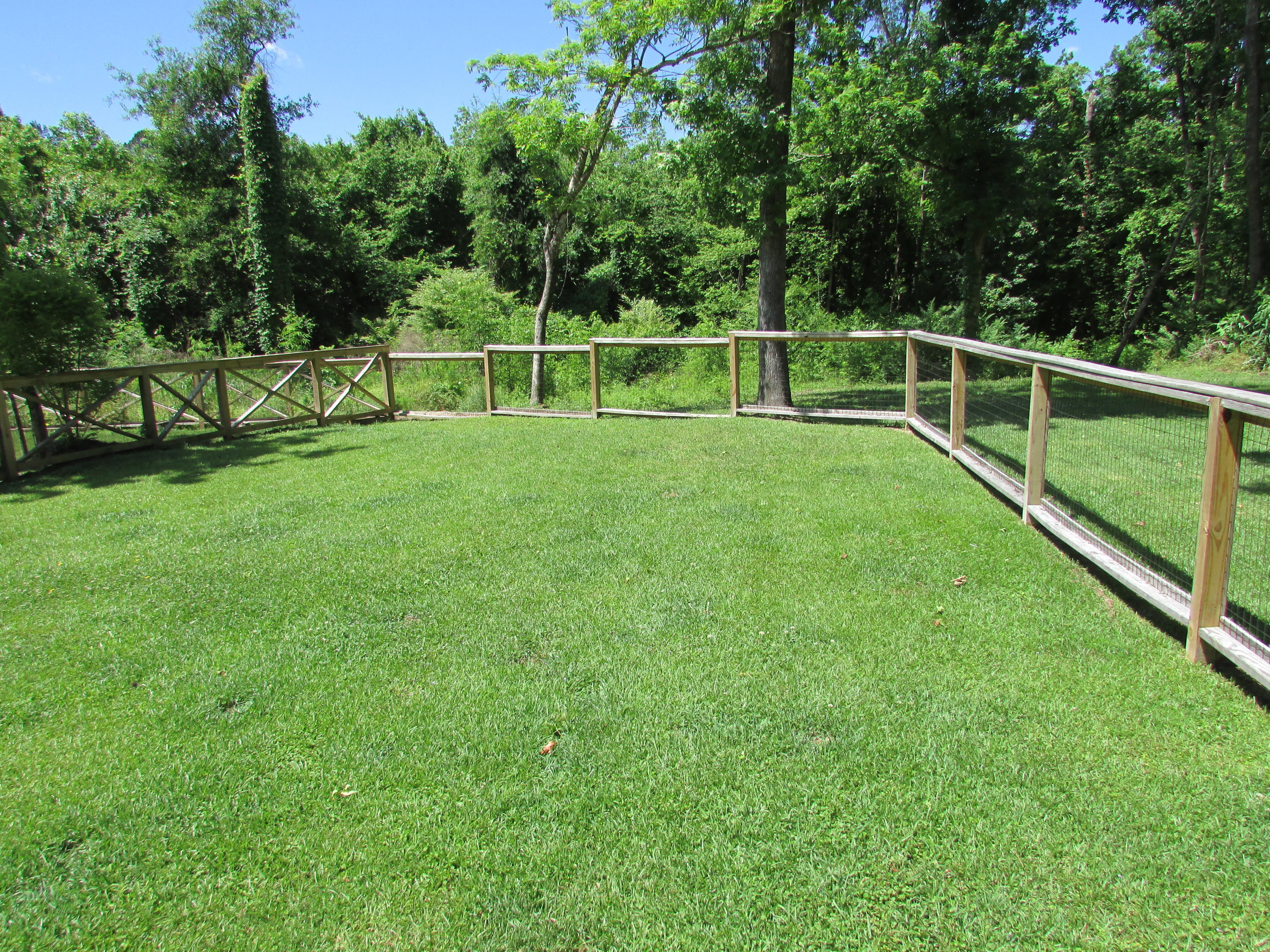 2273 Old Beech Hill Road Ridgeville, SC 29472 - Photo 23 of 43 IMG_1122