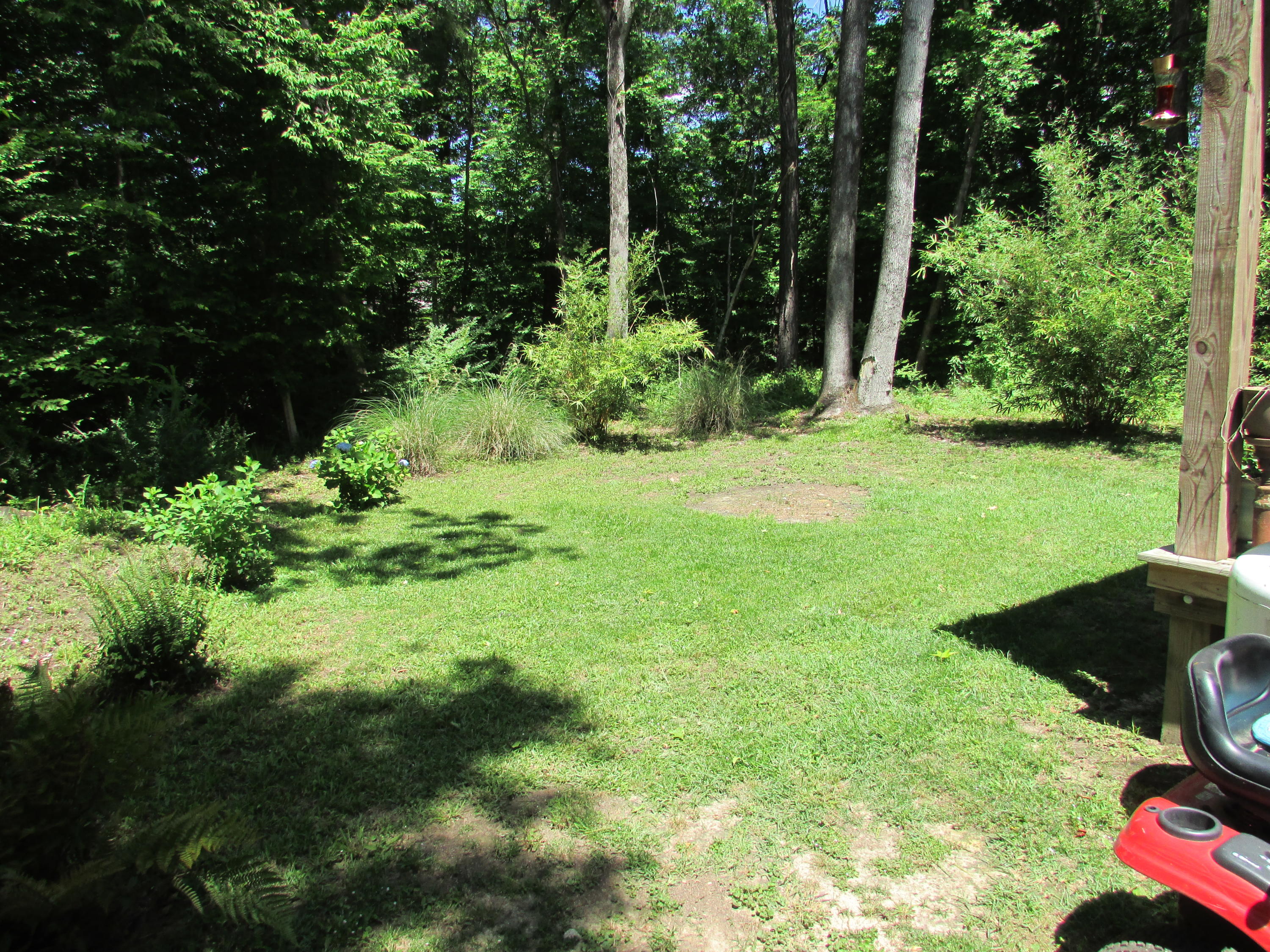 2273 Old Beech Hill Road Ridgeville, SC 29472 - Photo 37 of 43 IMG_1136