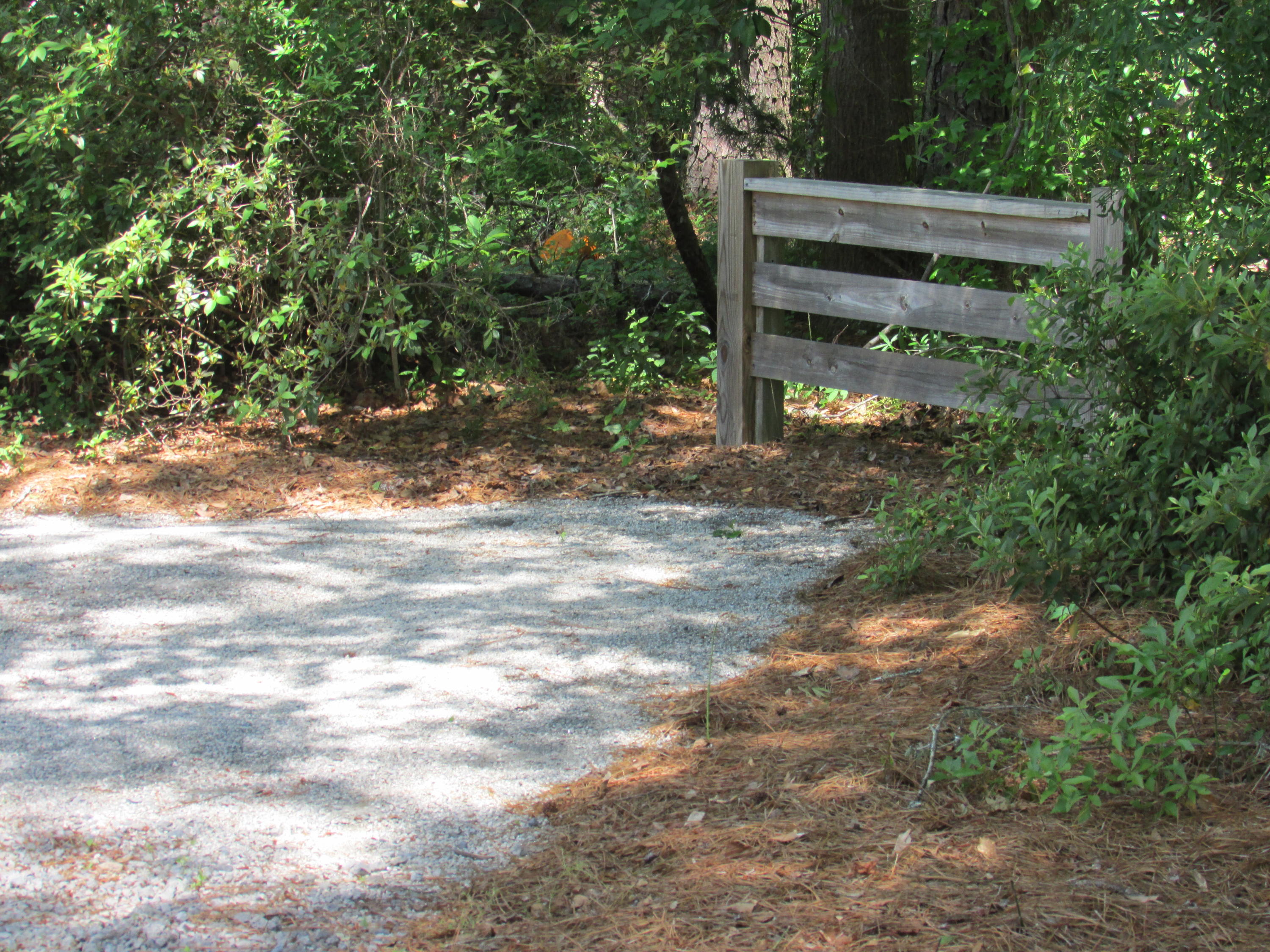 2273 Old Beech Hill Road Ridgeville, SC 29472 - Photo 41 of 43 IMG_1140