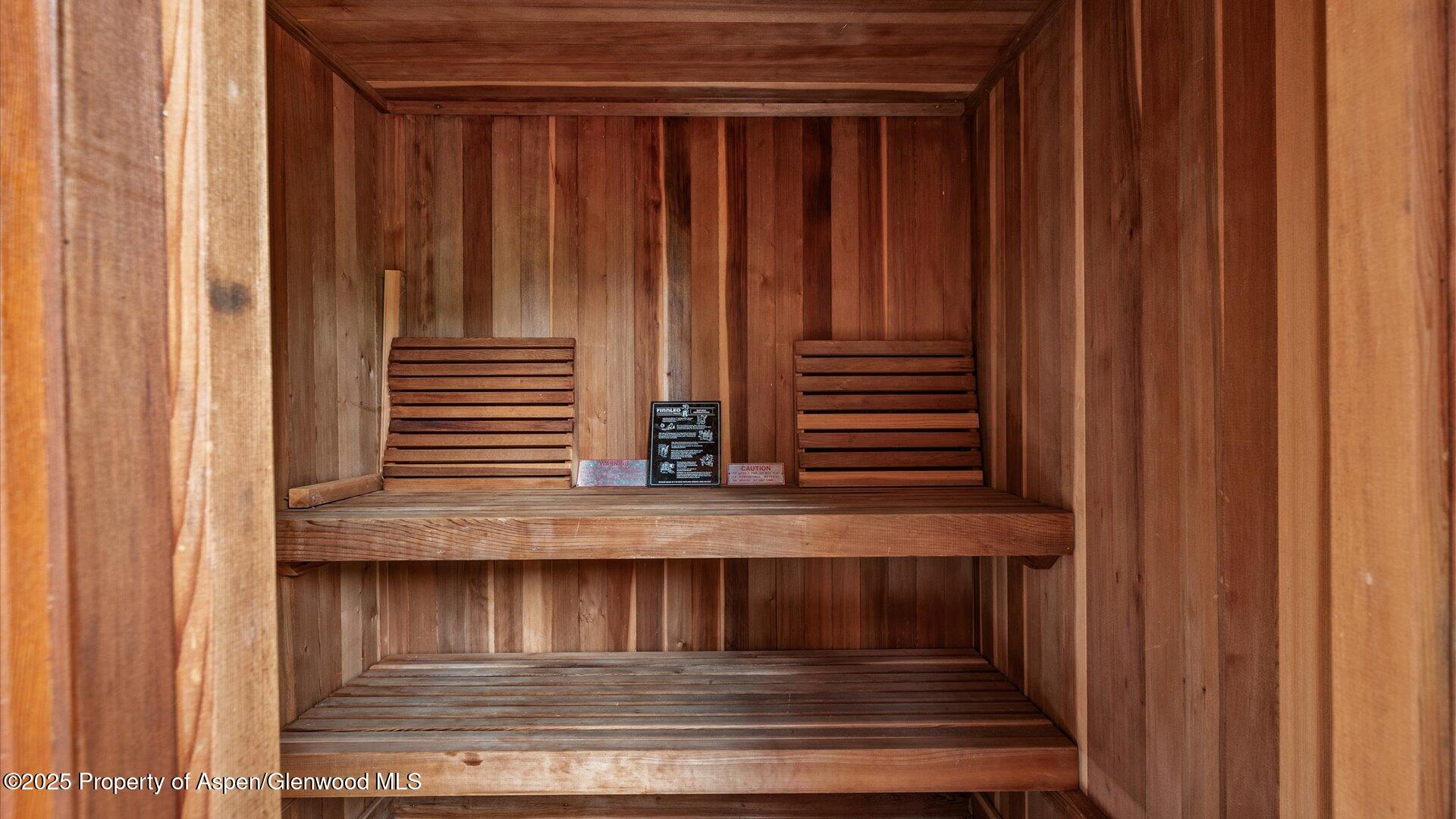 153 Peachblow Road Basalt, CO 81621 - Photo 33 of 36 Sauna