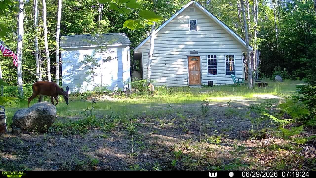 192 Wesley Me 04686 Wesley, ME 04686 - Photo 43 of 43 016578003889133-76-4-06292026071924-SYFW