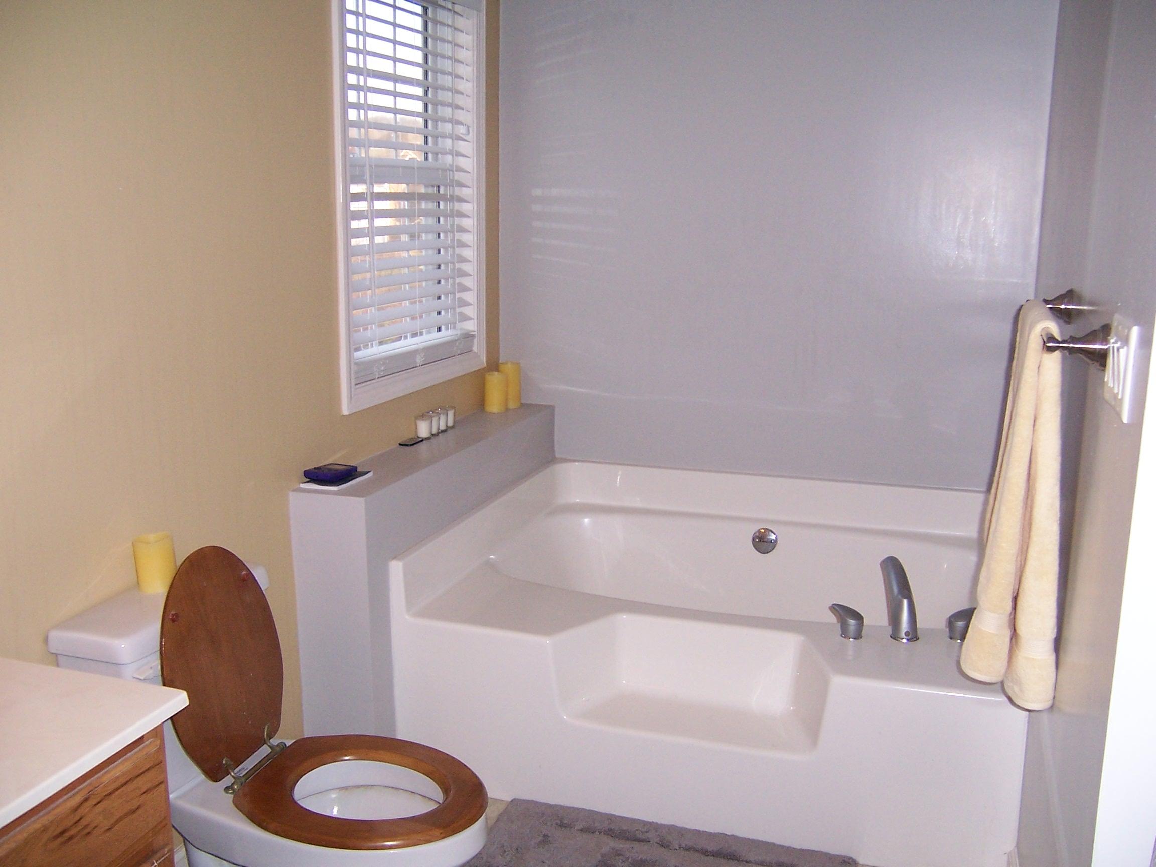 1700 Meadows Road Vinton, VA 24179 - Photo 13 of 27 a bathroom with a sink a toilet and a bathtub