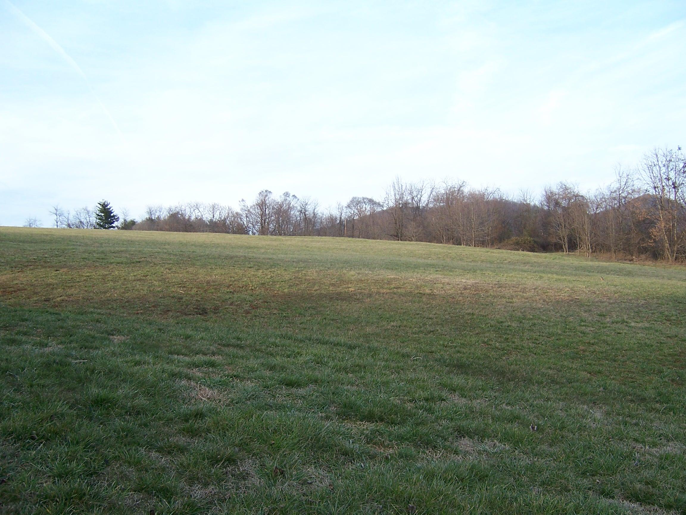 1700 Meadows Road Vinton, VA 24179 - Photo 23 of 27 a view of a field with an ocean