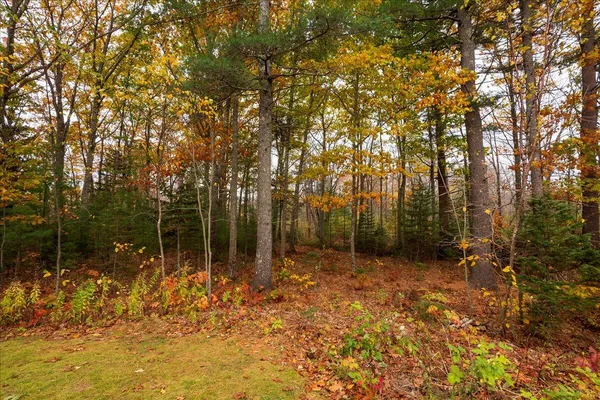 $429,000 | 276 South Street, Rockport, ME 04856