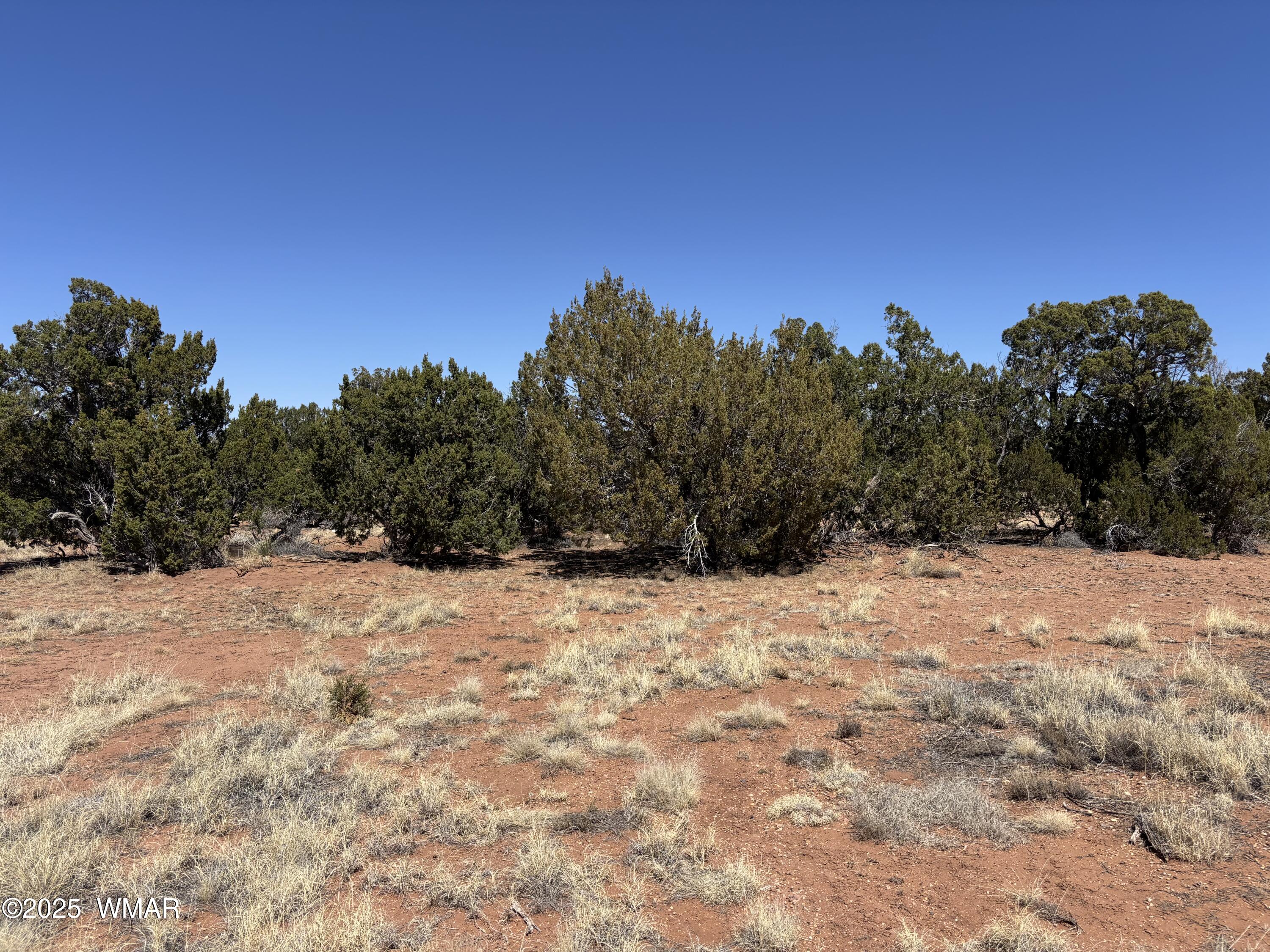 3527 Mill View Road Heber, AZ 85928 - Photo 2 of 4 IMG_4874