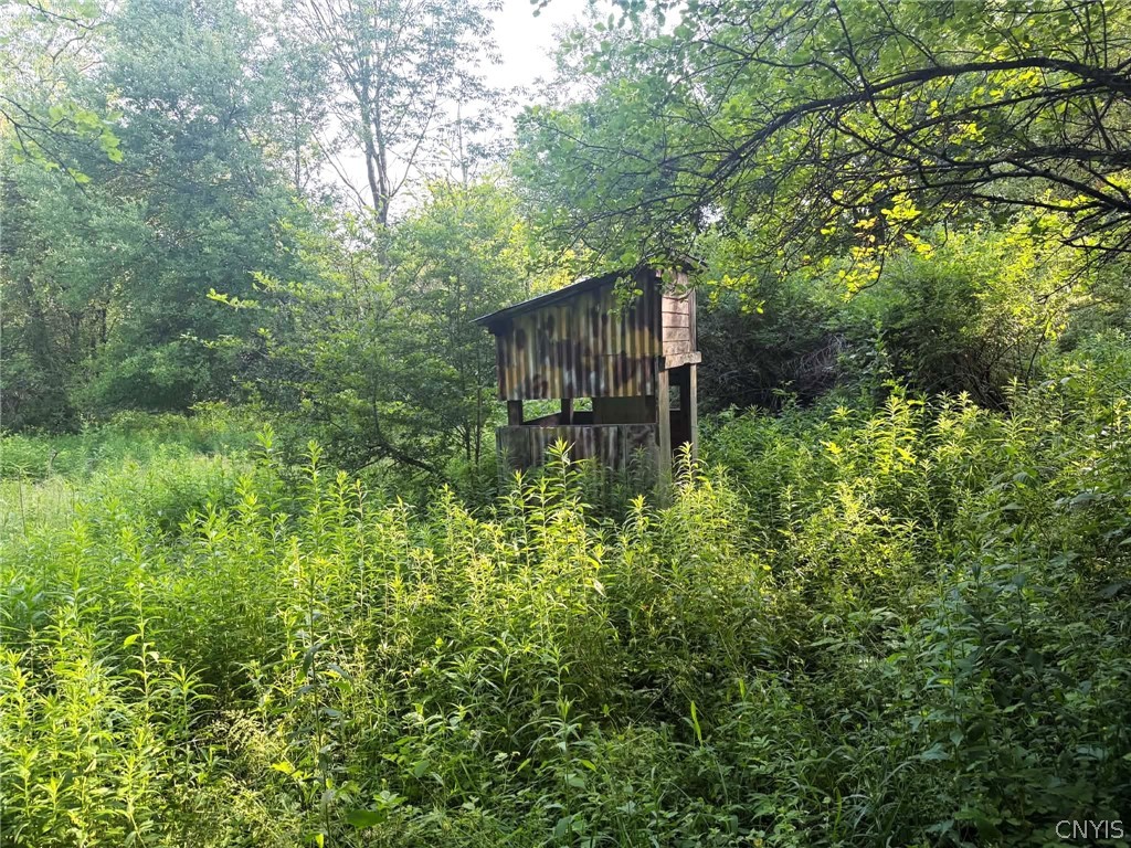 4891 Telephone Road Taylor, NY 13040 - Photo 33 of 42