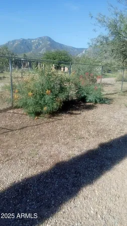 a view of a yard with wooden fence