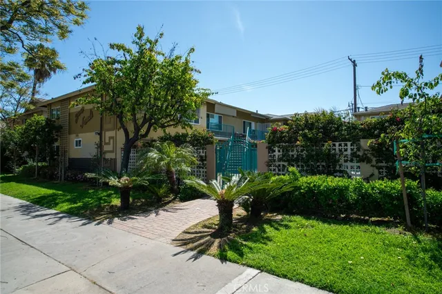 a view of a garden with plants