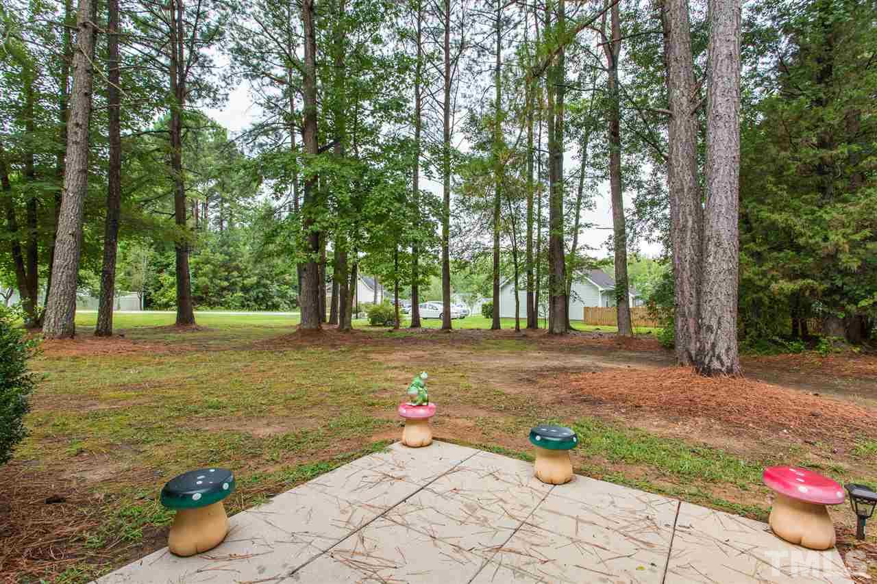 205 Holding-Young Road Youngsville, NC 27596 - Photo 19 of 22