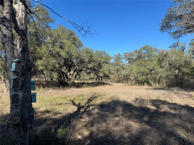 a view of a yard with a tree