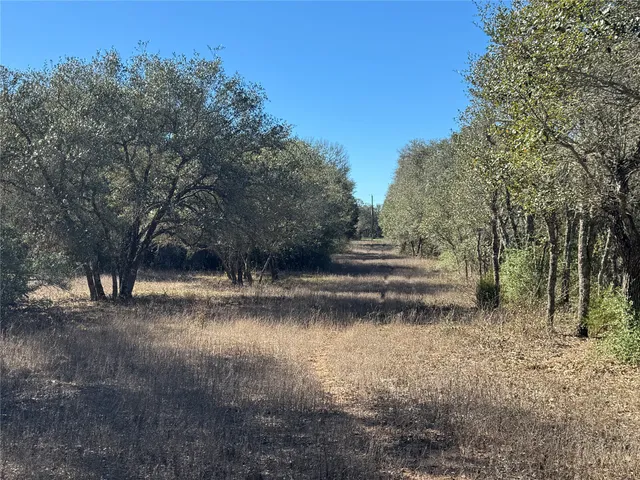 a big yard with lots of green space and house