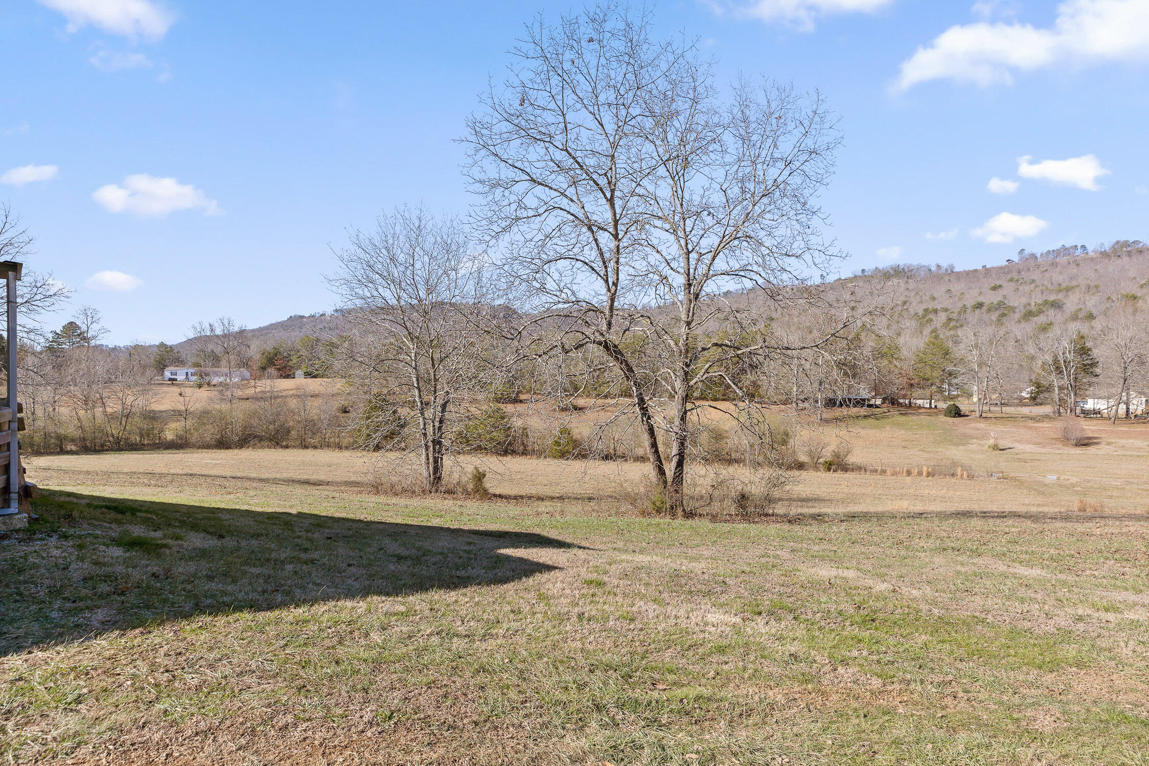 3382 Back Valley Road Trenton, GA 30752 - Photo 35 of 43 33-Back Valley-32