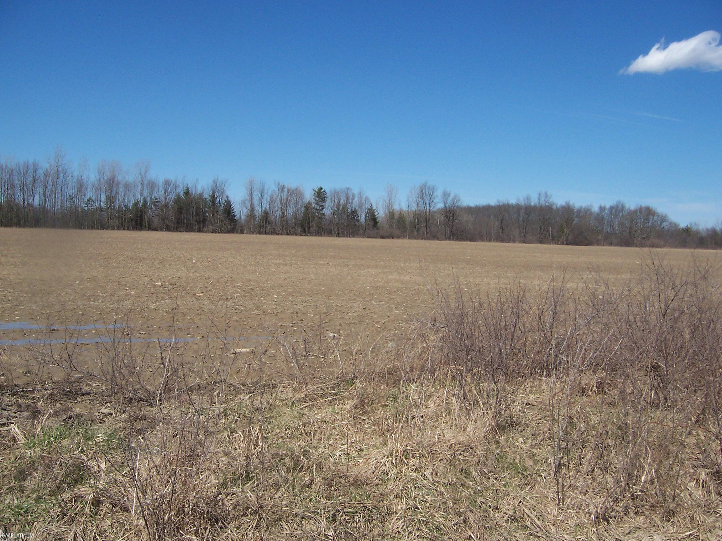 Lot 3 Beard Road Avoca, MI 48006 - Photo 1 of 2