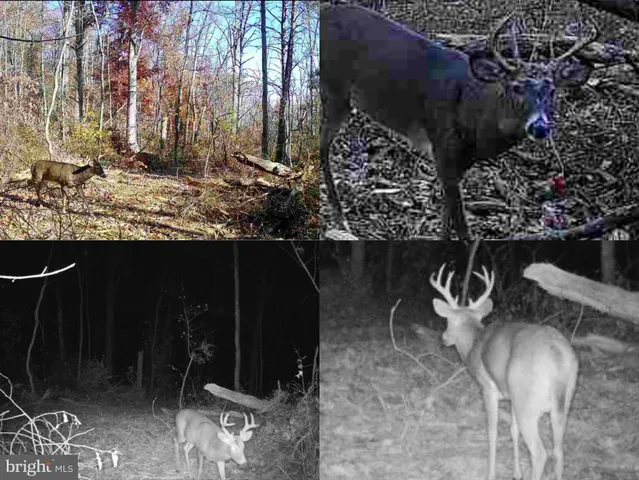 $999,900 | 1715 Gravel Pike, Perkiomenville, PA 18074