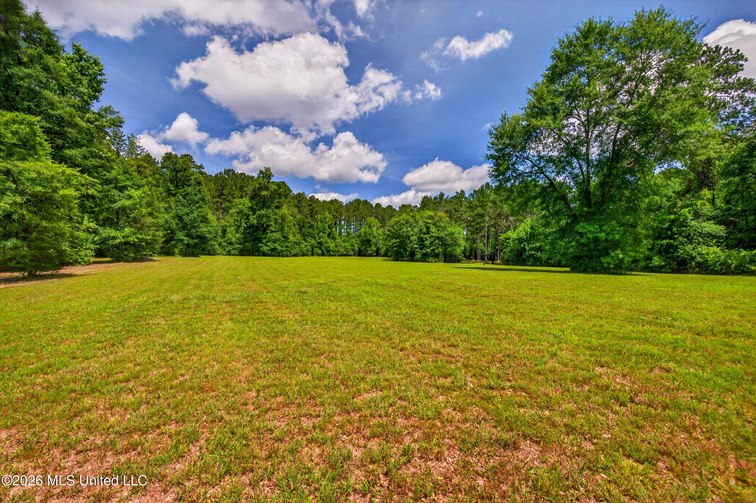 78 Game Reserve Road Columbia, MS 39429 - Photo 66 of 83 78GamerReserveRd.-59