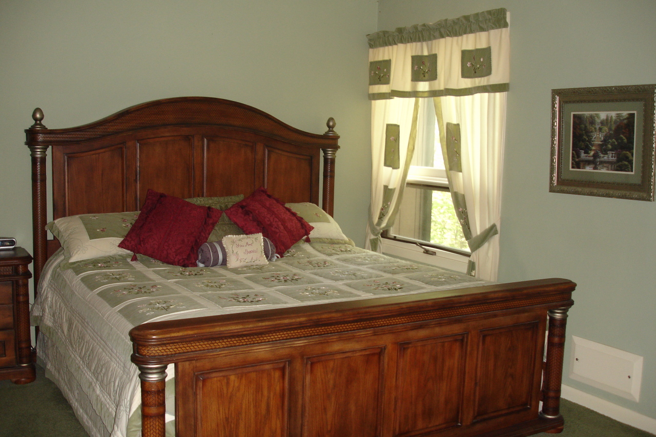 305 Stonehaven Lane Blue Ridge, VA 24064 - Photo 14 of 47 Master Bedroom