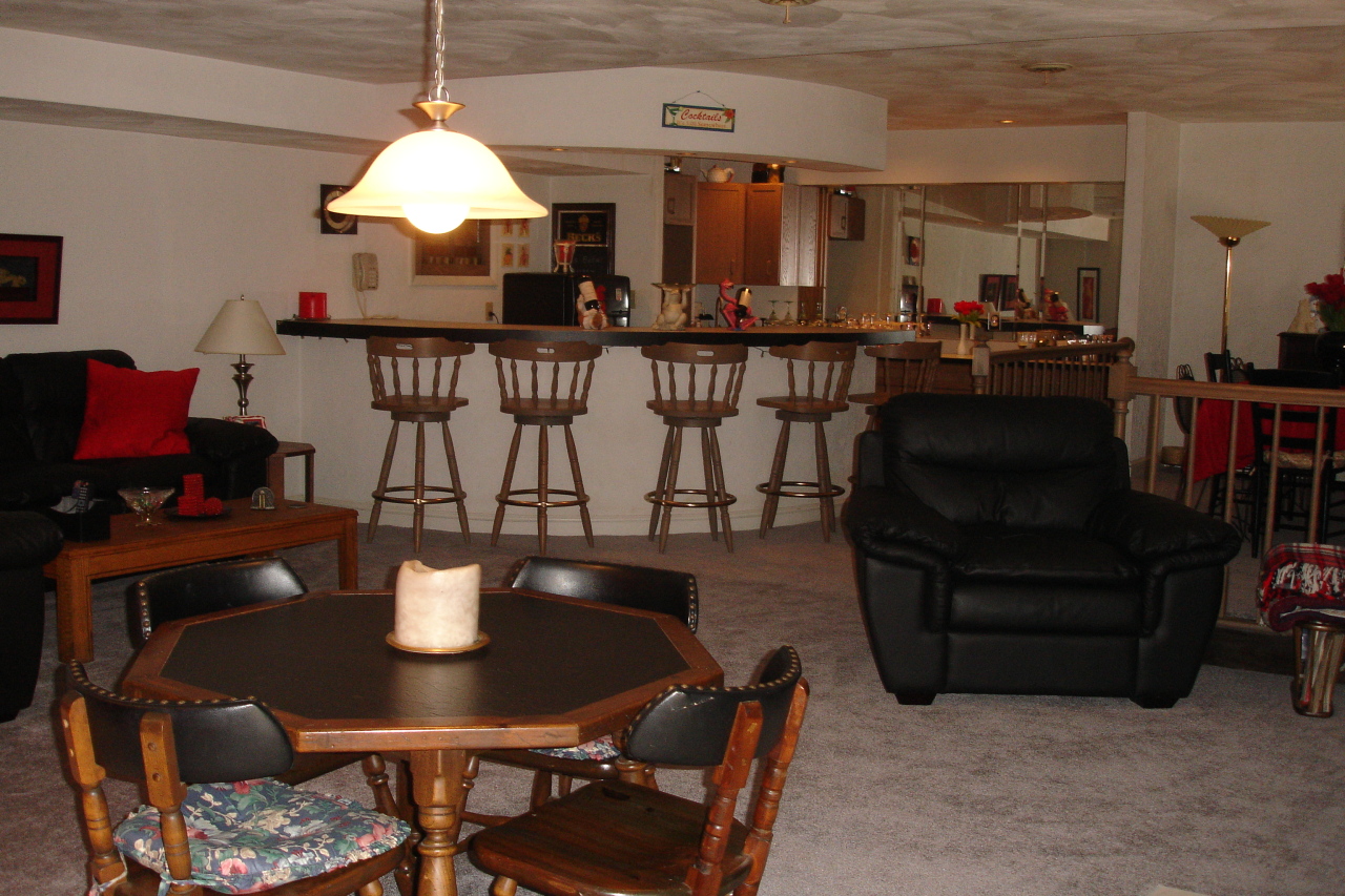 305 Stonehaven Lane Blue Ridge, VA 24064 - Photo 3 of 47 Family Room down