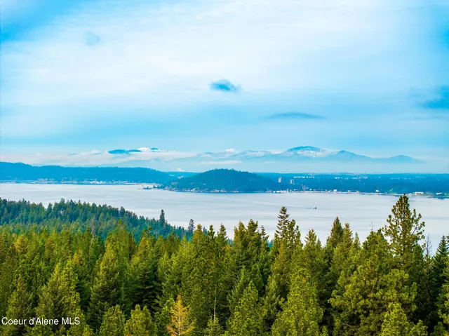 $1,995,000 | Nka East Lisa Road, Harrison, ID 83833