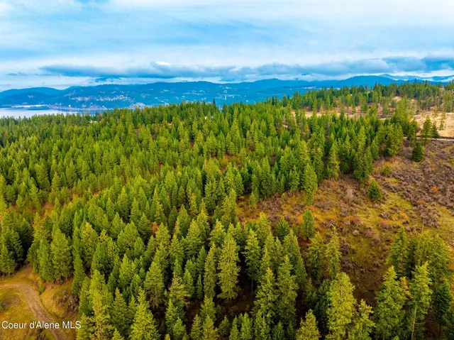 $1,995,000 | Nka East Lisa Road, Harrison, ID 83833