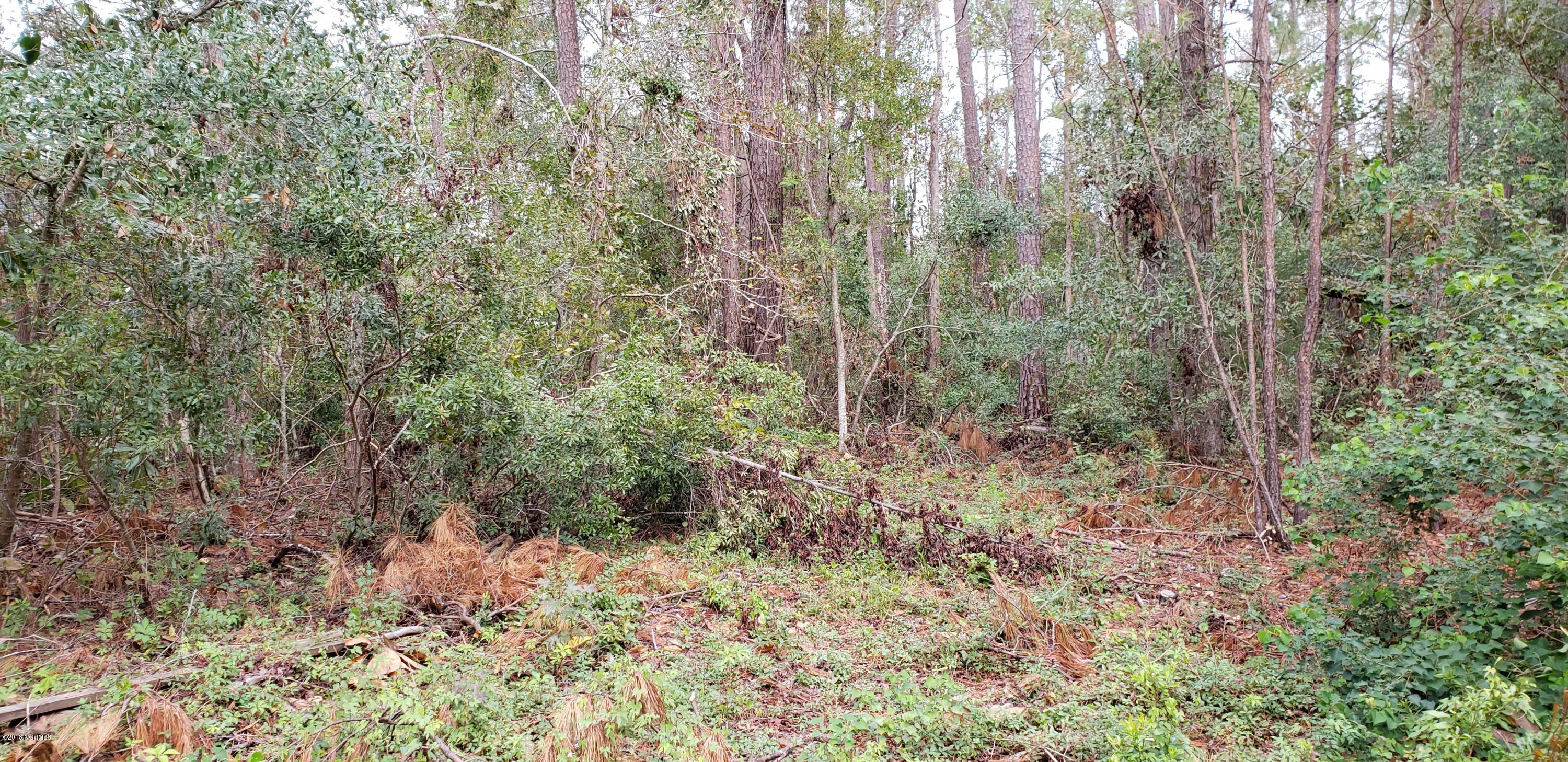 6203 Head Road Wilmington, NC 28409 - Photo 4 of 8 1_20181027_104017