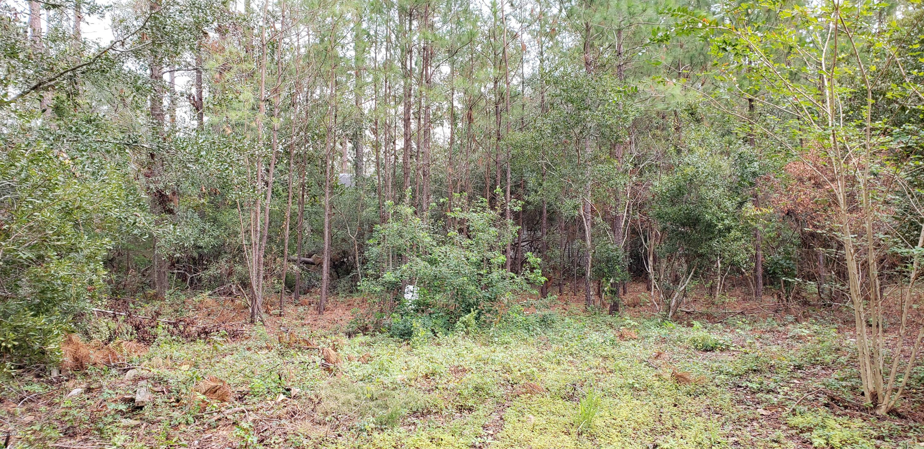 6203 Head Road Wilmington, NC 28409 - Photo 5 of 8 0_20181027_104006