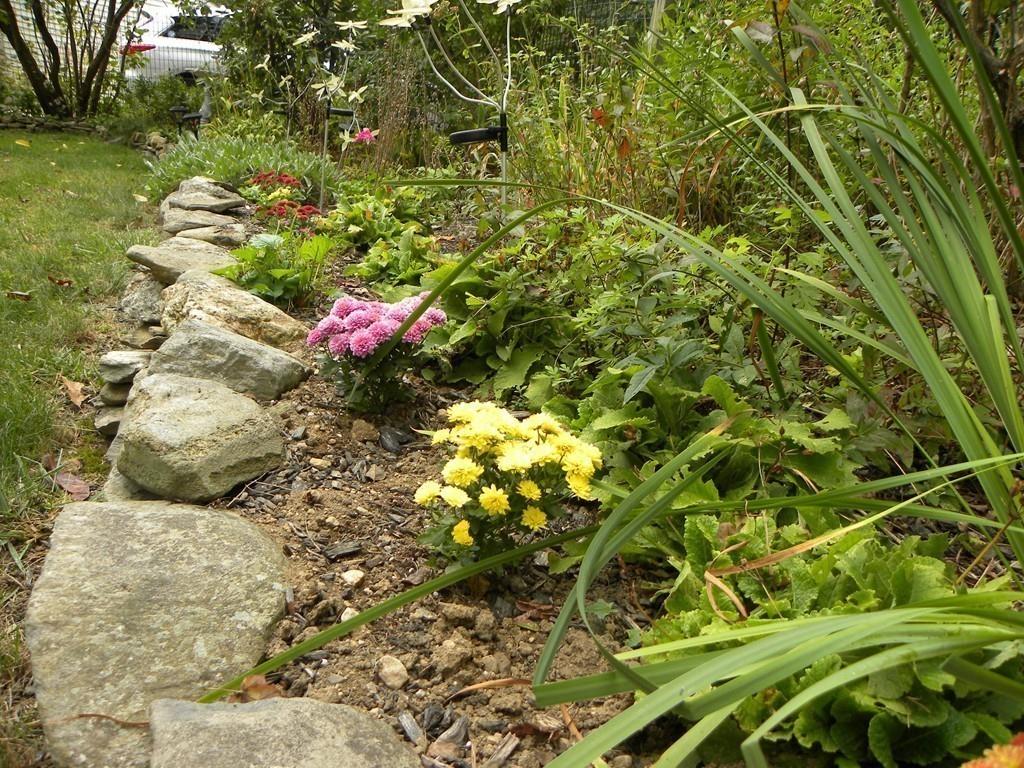 66 Osgood Road Charlton, MA 01507 - Photo 15 of 42 a view of a flower