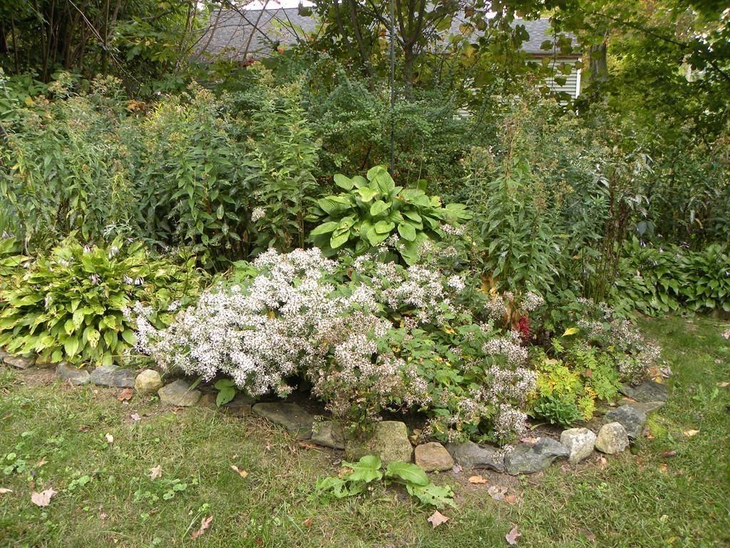 66 Osgood Road Charlton, MA 01507 - Photo 35 of 42 a close up of a plant