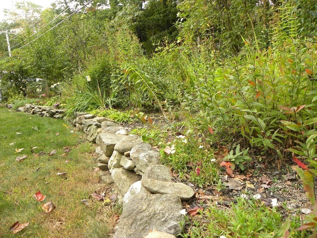 66 Osgood Road Charlton, MA 01507 - Photo 37 of 42 a view of a small yard with a tree